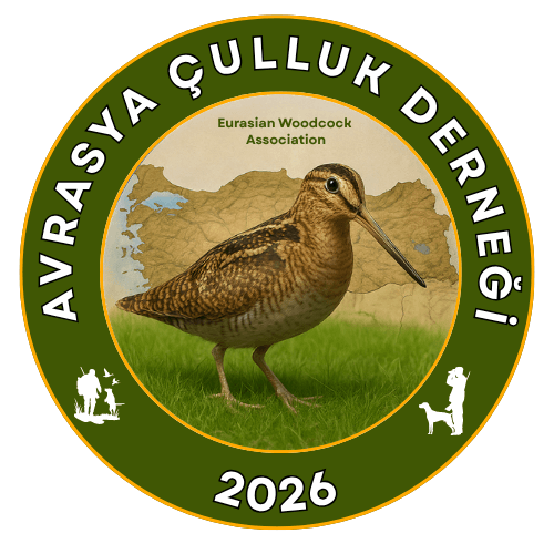 Avrasya Çulluk Derneği